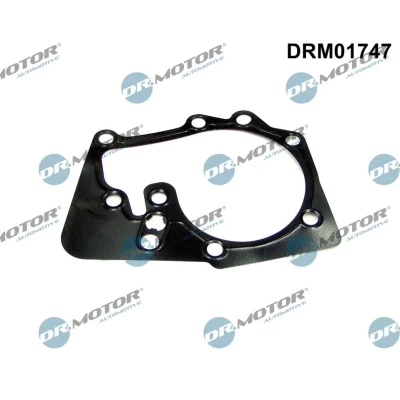 Imagen de DR.MOTOR AUTOMOTIVE DRM01747 Juntas RENAULT: MEGANE 1 Classic, CLIO 3, Kangoo I Express, DACIA: Duster SUV