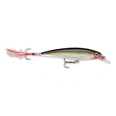 Imagen de Rapala X Rap 10cm &#039;Silver&#039; Curricán