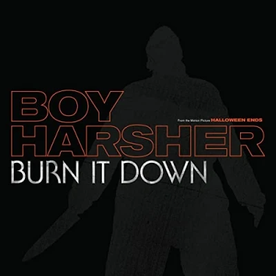 Imagen de Burn It Down [Vinilo]