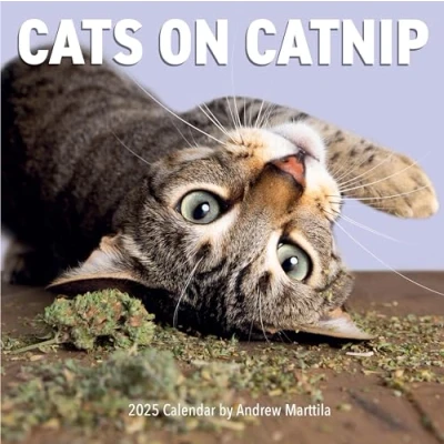 Imagen de Cats on Catnip Wall Calendar 2025