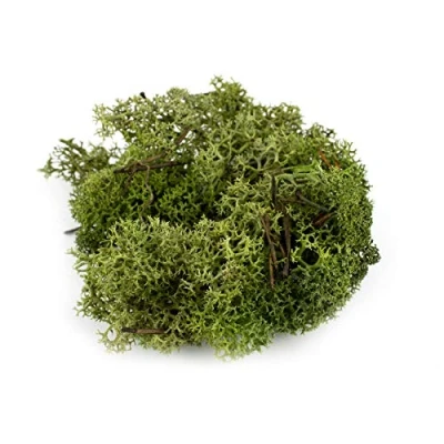 Imagen de War World Scenics Musgo Verde Oscuro para Follaje 100g Liquen Maqueta Ferroviario Wargame Juego de Guerra Escenario Paisaje Modelismo Árboles Arbustos Setos Diorama Base Material Bosque