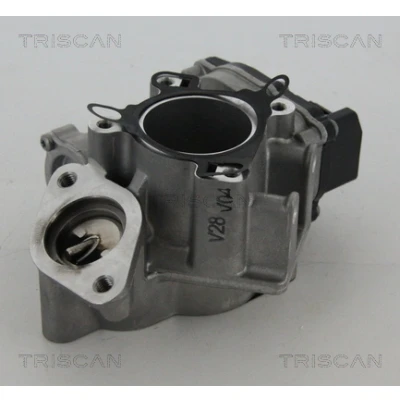 Imagen de TRISCAN 8813 24039 Válvula EGR eléctrico con juntas RENAULT: TRAFIC 2 Kasten, ESPACE 4, Bus, NISSAN: Primastar Furgón, NV400 Furgón