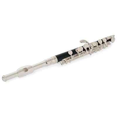 Imagen de Flauta Piccolo Classic Cantabile PF 300