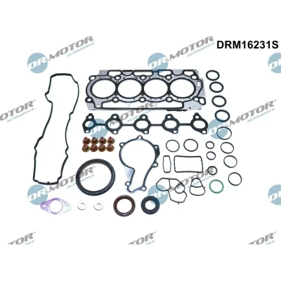 Imagen de DR.MOTOR AUTOMOTIVE DRM16231S Juego completo de juntas, motor PEUGEOT: 206 Hatchback, 207 307 CITROËN: Xsara Hatchback