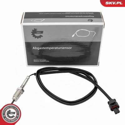 Imagen de Sensor, temp. gas escape ESEN SKV 30SKV482