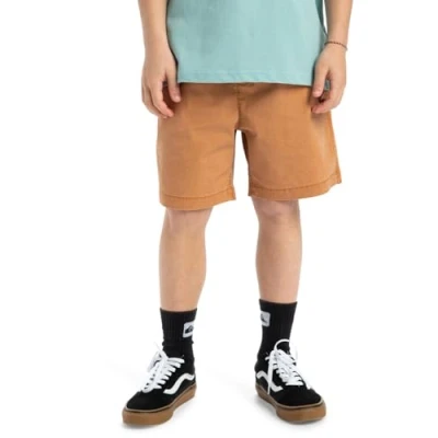 Imagen de Quiksilver Taxer Youth Shorts para niños, Talla: 10a, Bran