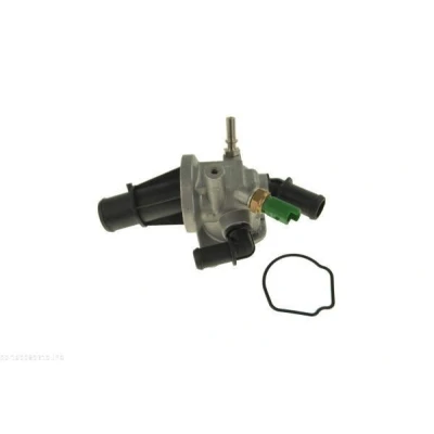 Imagen de Caja del termostato AUTOMEGA 160089310