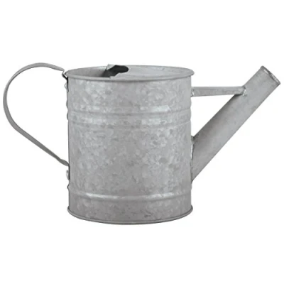 Imagen de Fallen Fruits 0,75 litro Viejo Zinc regadera