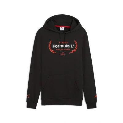 Imagen de Puma Essentials LOGO Graphic Jersey con capucha, Hombre, Talla: XXL, Black