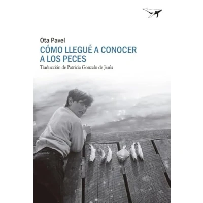 Imagen de Como llegué a conocer los peces: 13 (sajalín)