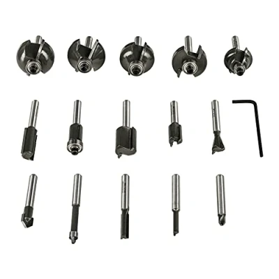 Imagen de RYOBI Caja de 15 cortadores variados vstago 6 mm RAKRBS15