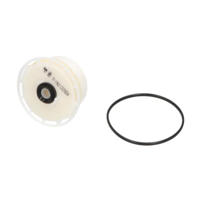Imagen de Filtro combustible KAVO PARTS TF 1963