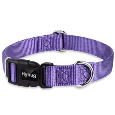 Imagen de Cuello de Trabajo Pesado clásico Color sólido para Perros Grandes, medianos y pequeños, Ajuste diseño único. (Medio M, Ultra Violeta)