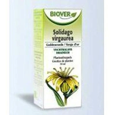 Imagen de Solidago Virga Aurea (Vara de Oro) Tm 50 ml Biover