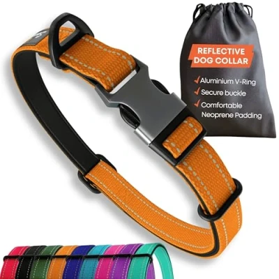 Imagen de Collar Fuerte para Perros medianos Acolchado Reflectante Naranja Ajustable Hebilla de Metal Seguridad, Anillo en V Aluminio.