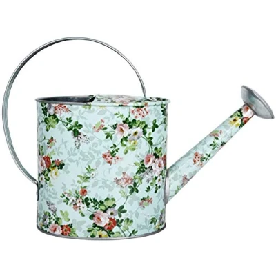 Imagen de Esschert Design Fallen Fruits Regadera Interior RD43 (Rosa)