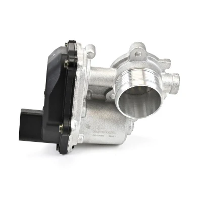 Imagen de DELPHI EG10489 12B1 Válvula EGR sin radiator lado baja presión VOLKSWAGEN: Tiguan I, Golf 7, II, SEAT: Leon III Hatchback