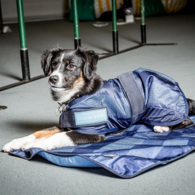 Imagen de Back on Track Cooling Dog Coat