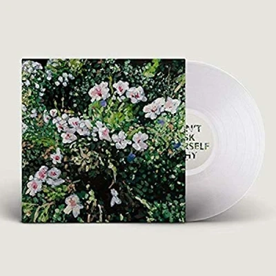 Imagen de Don&#039;t Ask Yourself Why Vinilo