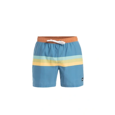 Imagen de Quiksilver Everyday Straight Bañador, Hombre, Talla: Medium, Blq