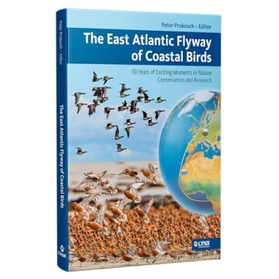 Imagen de The East Atlantic Flyway Of Coastal Birds