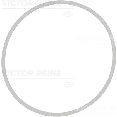 Imagen de REINZ 71 39409 00 Junta Colector de Admision FPM (caucho fluroado) BMW: 5 Berlina, 6 Cabrio, 7