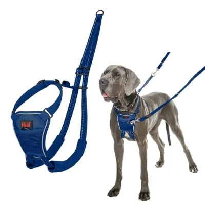 Imagen de Arnés anti tirones HALTI para evitar que tu perro tire de la correa, Ajustable, Ligero y Fácil Usar. Reflexiva Adiestramiento canino perros grandes (Talla L, Azul Cobalto)
