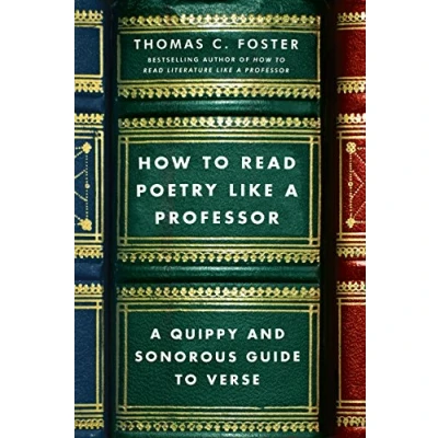 Imagen de How To Read Poetry Like A Professor (ebook)