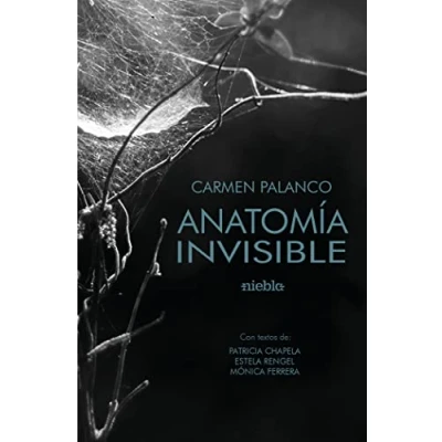 Imagen de Anatomía invisible