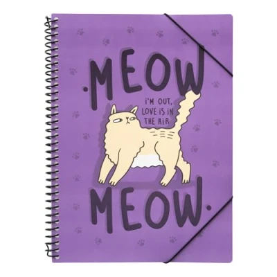 Imagen de Grupo Erik Carpeta fundas plástico A4 Mew clasificadora escolar de duro transparente (30 fundas) : Material Para Vuelta al cole, Niños y niñas