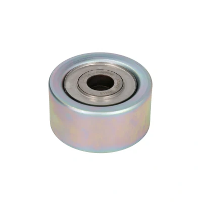 Imagen de DAYCO APV4043 Rodillo Guia