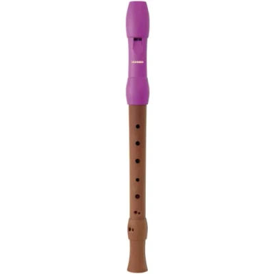 Imagen de HOHNER Flauta dulce Alegra Line rosa, barroca, dos piezas