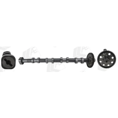 Imagen de AE CAM1040 Árbol de Levas Lado escape SEAT: Leon II Hatchback, Altea XL, AUDI: A3 Sportback, TT Coupé, Q3, VOLKSWAGEN: GOLF 6, CC