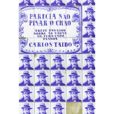 Imagen de Parecia nao pisar o chao.treze ensaios sobre as vi