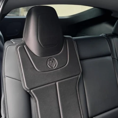 Imagen de Prince Lionheart Protector de Asiento Coche Tesla 2 etapas diseñado para Modelos S, 3, X Impermeable niños Negro