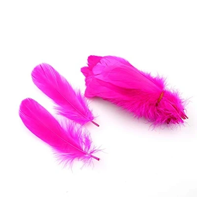 Imagen de Sowder Accesorios de ropa plumas ganso natural, paquete 100. Color rosa