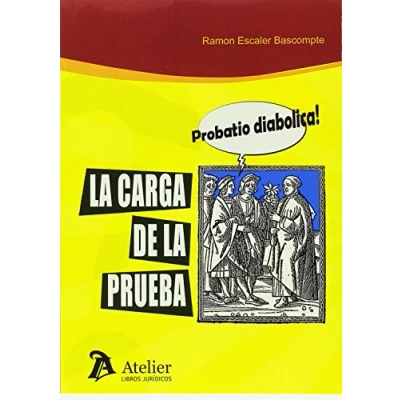 Imagen de la carga de prueba.: Sobre cómo mejorar tutela efectiva las partes a luz reglas juicio aplicables ante insuficiencia o falta (SIN COLECCION)