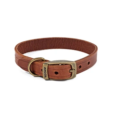 Imagen de ANCOL Latigo Collar Castaño 26 31cm Talla 2