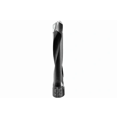 Imagen de Festool fresa domino d 14 nl 70 hw df 700
