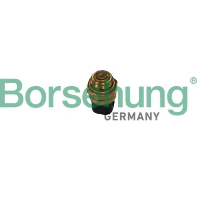Imagen de Borsehung B13130 Interruptor de temperatura, ventilador del radiador VOLKSWAGEN: GOLF 4, 3, Corrado, SEAT: Leon I Hatchback, Ibiza 2