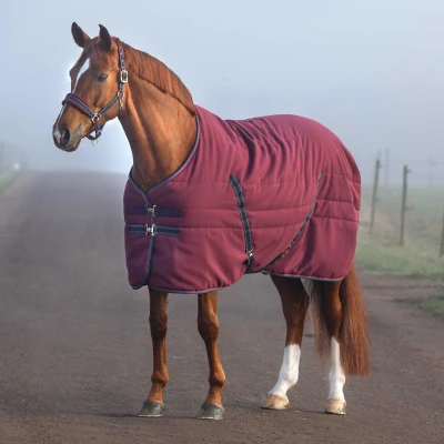 Imagen de Rambo Stable Lite 100g