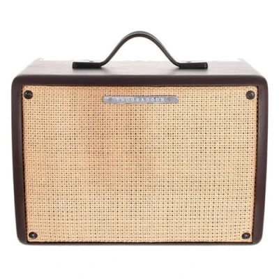 Imagen de Ibanez T30II U Troubadour combo amplificador para guitarra acústica, 30W