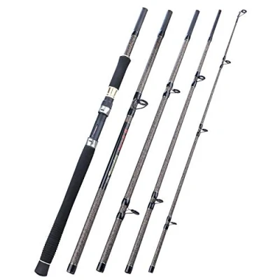Imagen de Sougayilang caña de Pescar para Carpas, Fibra Carbono, 10 pies con 5 Secciones, Carpas cómodo Mango EVA Agua Salada o Dulce 5HD