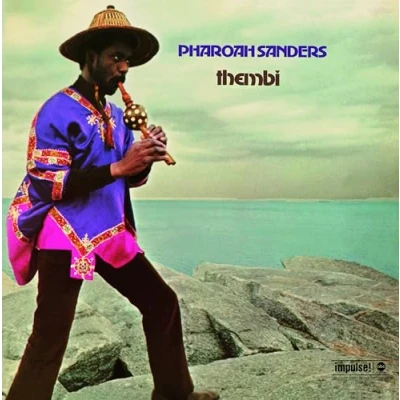 Imagen de Thembi (Limited Gatefold Edition) [Vinilo]