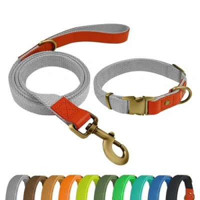 Imagen de Qianruida Collar y Correa Perro Conjunto de para Perros PequeñOs Medianos Grandes Gris Oscuro,L