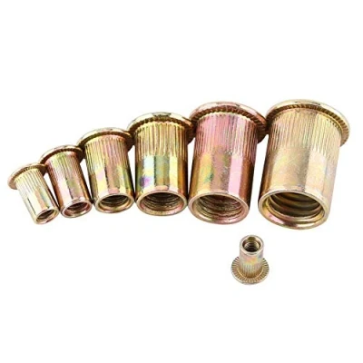 Imagen de Hilitand 100 / 20Pcs M3 M12 Acero al Carbono Rosca de Remache roscada Tuerca Rivnut Nutsert Sujetador(M10/20pcs)