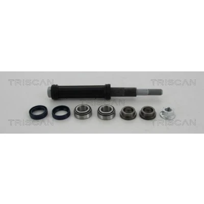 Imagen de TRISCAN 8500 38401 Juego de reparación del Brazo suspensión oscilante transversal CITROËN: C5 I Hatchback