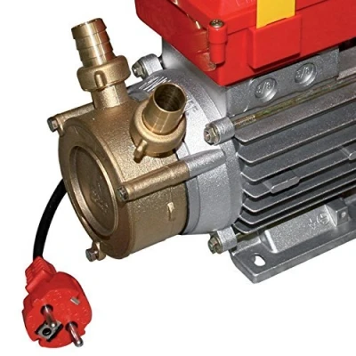 Imagen de Rover Pompe 30CE Bomba Trasvase 10Hp 5000L/H