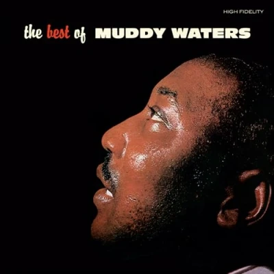 Imagen de The Best Of Muddy Waters (Crystal Clear Edition) [Vinilo]