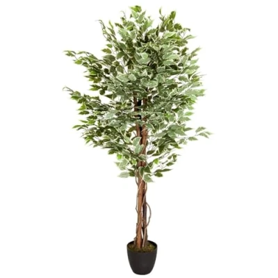 Imagen de hjh OFFICE Planta artificial FICUS Benjamini Altura 165 cm Verde/Blanco 1008 Hojas Deco de interior Abedul Artificial, 871000